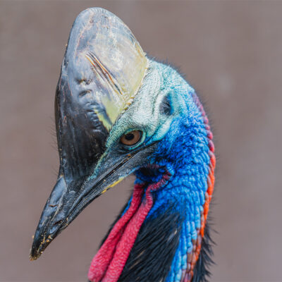 DSC05103-Enhanced-NR copy DSC05103-Enhanced-NR copy