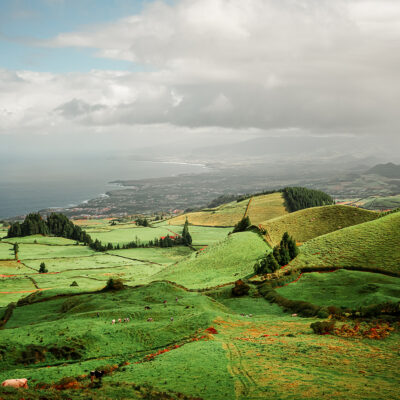 DSC06858-03 copy DSC06858-03 copy