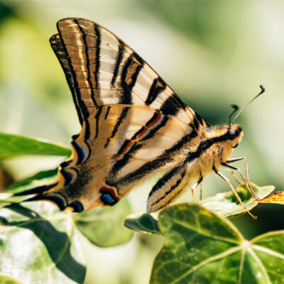 DSC07145 copy DSC07145 copy