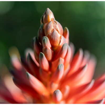 DSC07230-Enhanced-NR copy Insta DSC07230-Enhanced-NR copy Insta