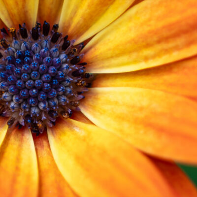 DSCF3916-Enhanced-NR 02 DSCF3916-Enhanced-NR 02