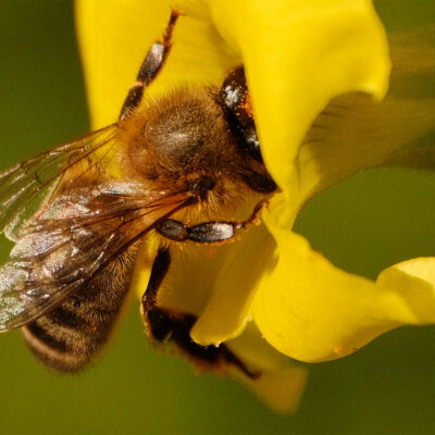 DSCF4456-2 copy DSCF4456-2 copy