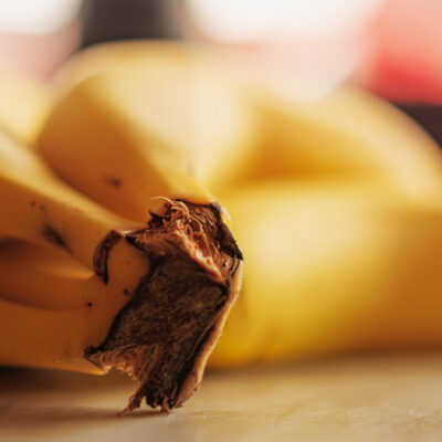 DSCF5318-Enhanced-NR copy DSCF5318-Enhanced-NR copy